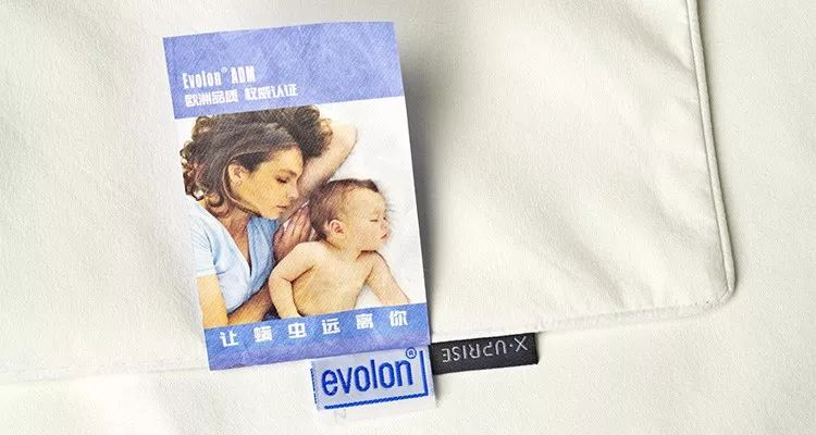 德国冰丝枕套,枕套德国蚕丝