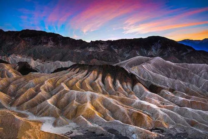 死亡谷里面的牛,死亡谷里的牛