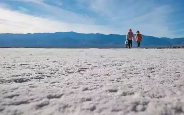 死亡谷里面的牛,死亡谷里的牛
