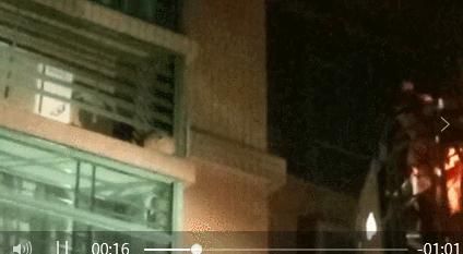 清溪一住宅小区藏了两个“足球窝”，上面爬满了马蜂