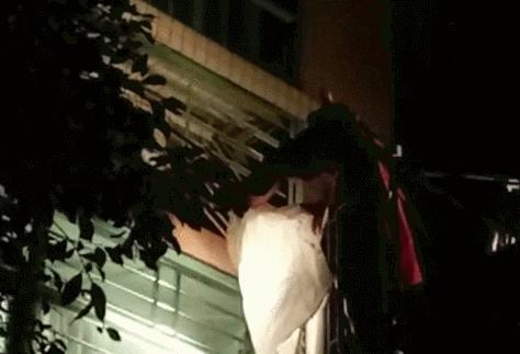 清溪一住宅小区藏了两个“足球窝”，上面爬满了马蜂