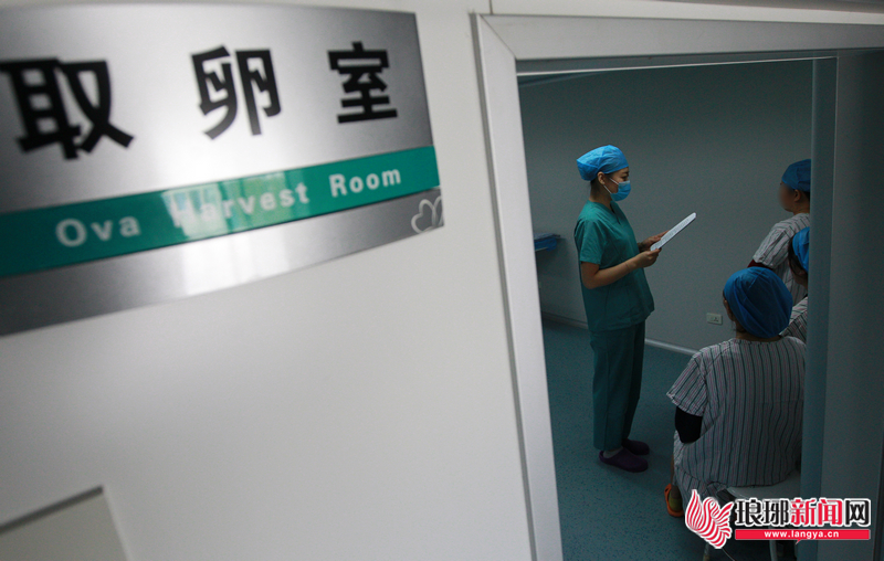 看“现代女娲”造人探秘临沂试管婴儿助孕技术