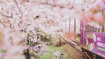 315特辑!去东京浅草寺替顾客祈福?杭州这家奶茶店这回摊上事了!