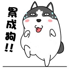 韩国免税店代购奢侈品骗局,韩国免税店真假