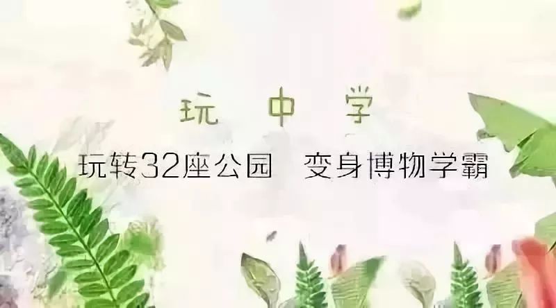 树叶拓印留住秋天,关于秋天的树叶拓印