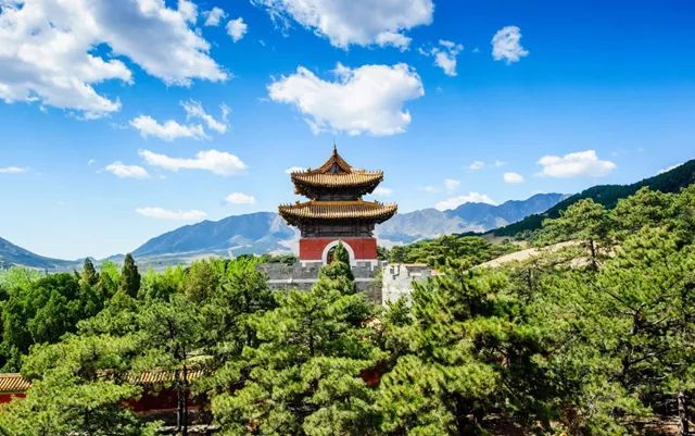 北方最大的银杏林在哪里,中国最大面积的银杏树林在哪里