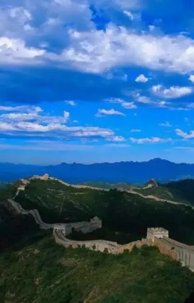 北方最大的银杏林在哪里,中国最大面积的银杏树林在哪里