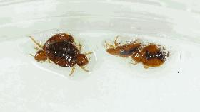 用空调清洁剂怎么清洁空调,你还在担心空调落灰尘吗