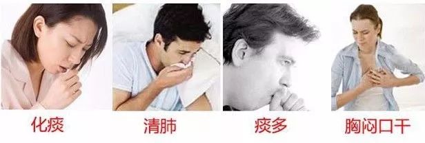 每天吃1颗它，止咳化痰，缓解咽炎哮喘，再也不害怕感冒啦！