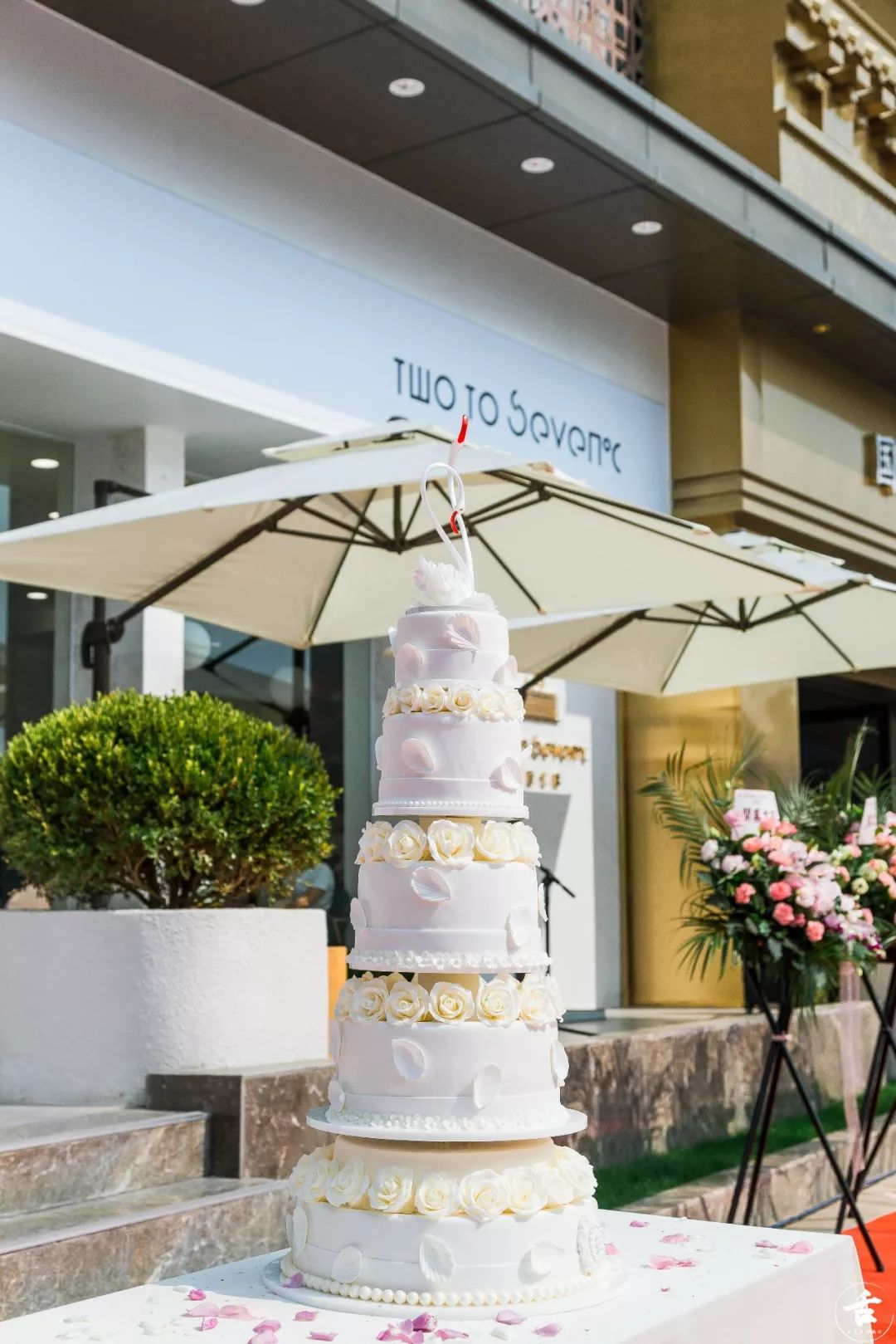 世界最奢华马卡龙,世界顶尖甜品店