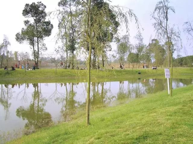 别问我金牛哪里最好玩，一条微信，带你了解……