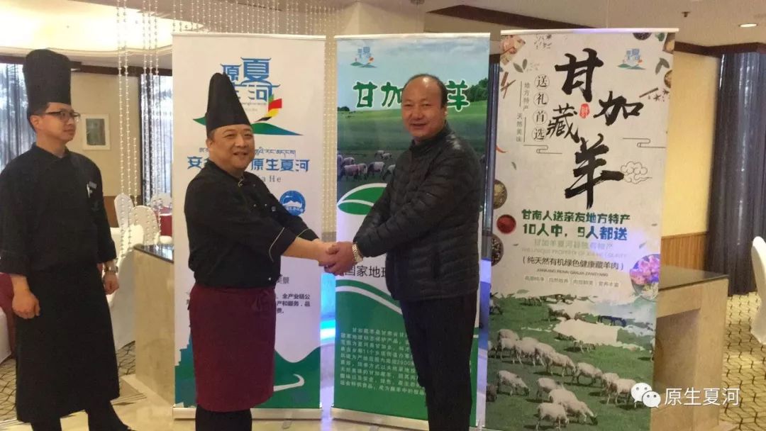 四川省阿坝州的甘加藏羊,甘肃夏河甘加藏羊价格