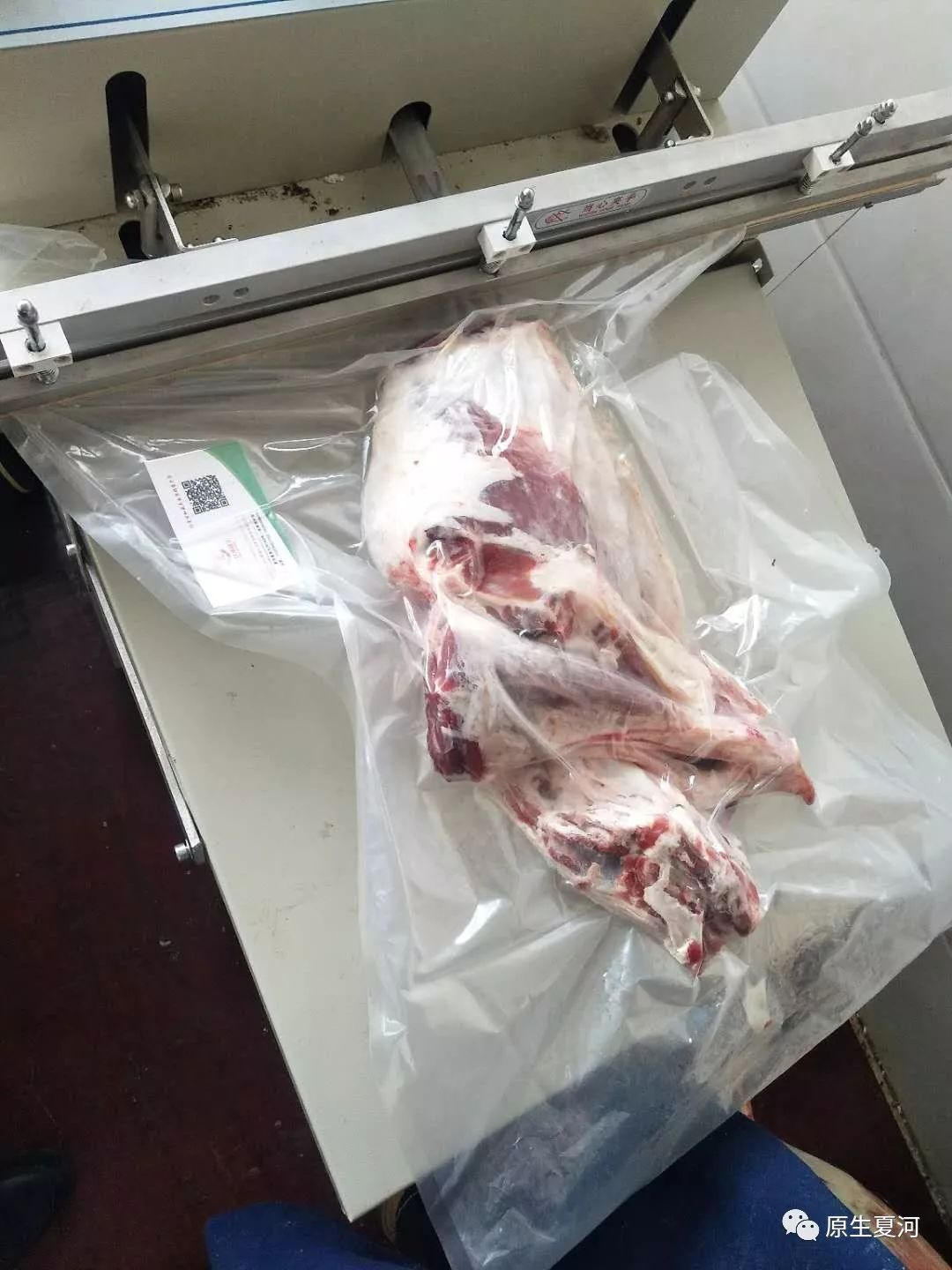 四川省阿坝州的甘加藏羊,甘肃夏河甘加藏羊价格