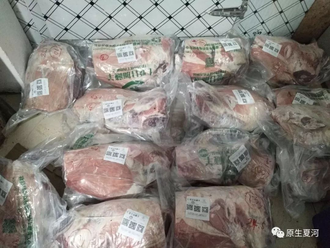 四川省阿坝州的甘加藏羊,甘肃夏河甘加藏羊价格