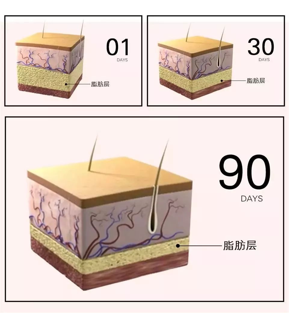 维密超模专用的瘦身塑形霜,维密瘦身塑形喷雾