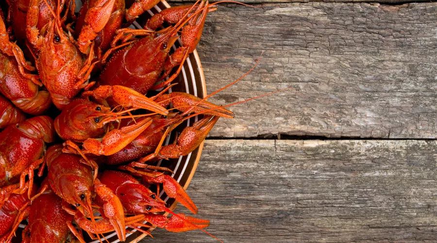 酵素真的不靠谱吗,酵素真的是一场骗局吗