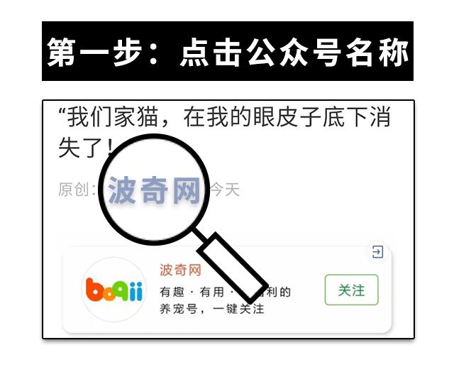 秒杀1元猫窝,爆款99元猫窝套餐