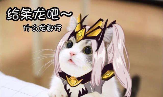 季末上分心得,新赛季王者荣耀打法思路意识教学