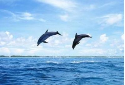 孩子入门级识字阅读,幼儿零基础识字阅读