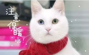 腿抽筋是不是缺钙的表现,腿抽筋是不是缺钙引起的