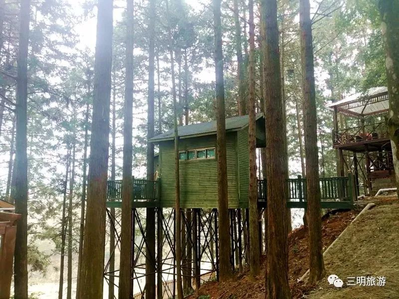 福建树屋酒店推荐,福建特色树屋民宿度假屋特点