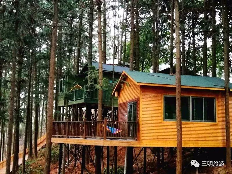 福建树屋酒店推荐,福建特色树屋民宿度假屋特点