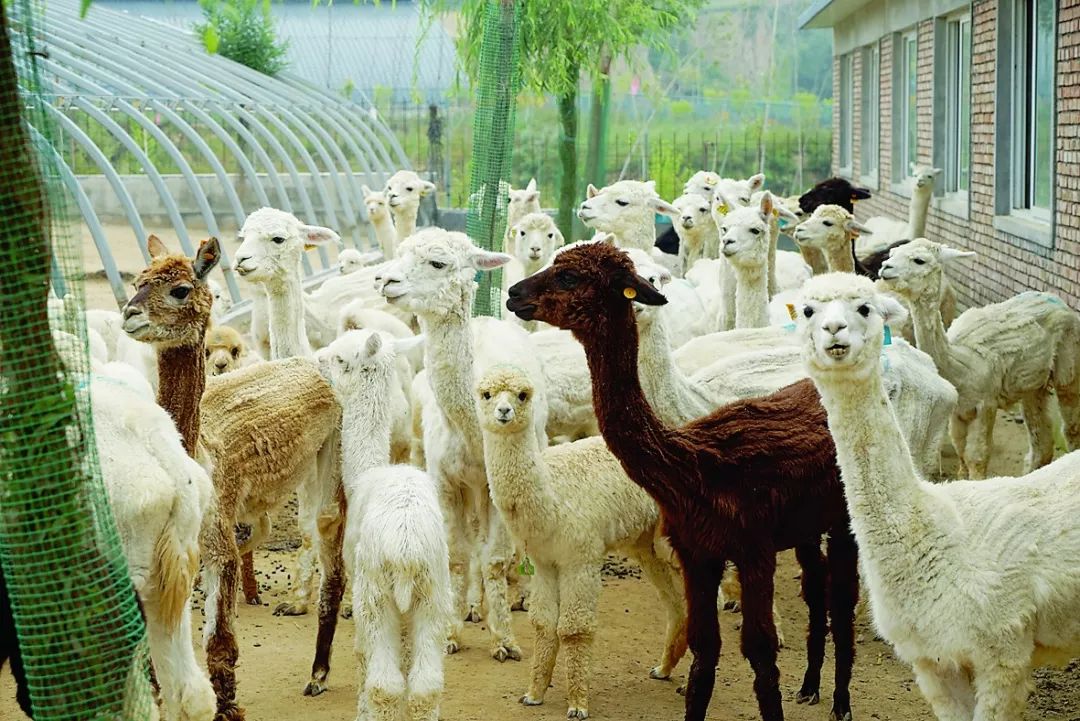 「时代新人」邓昕:做个自己都不敢想象的自己