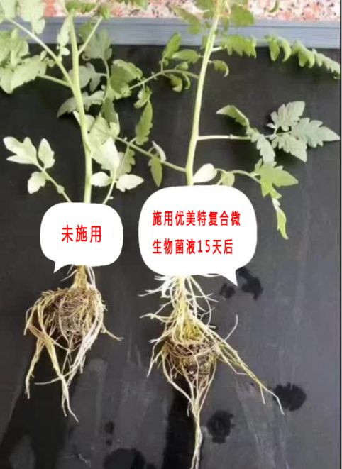 优美特水溶肥料价格,优美特化肥