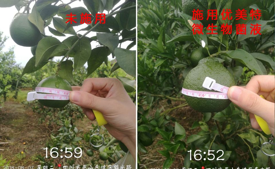 优美特水溶肥料价格,优美特化肥