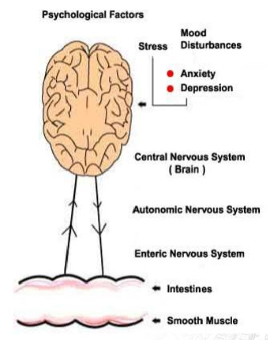 消化病的医治之法,身心交瘁啥意思