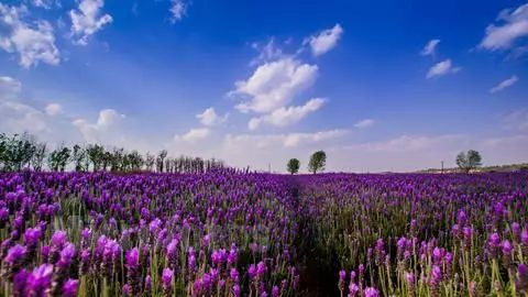 戳心窝的春城日常生活，625万昆明人边看边哭！