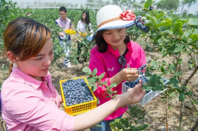 戳心窝的春城日常生活，625万昆明人边看边哭！