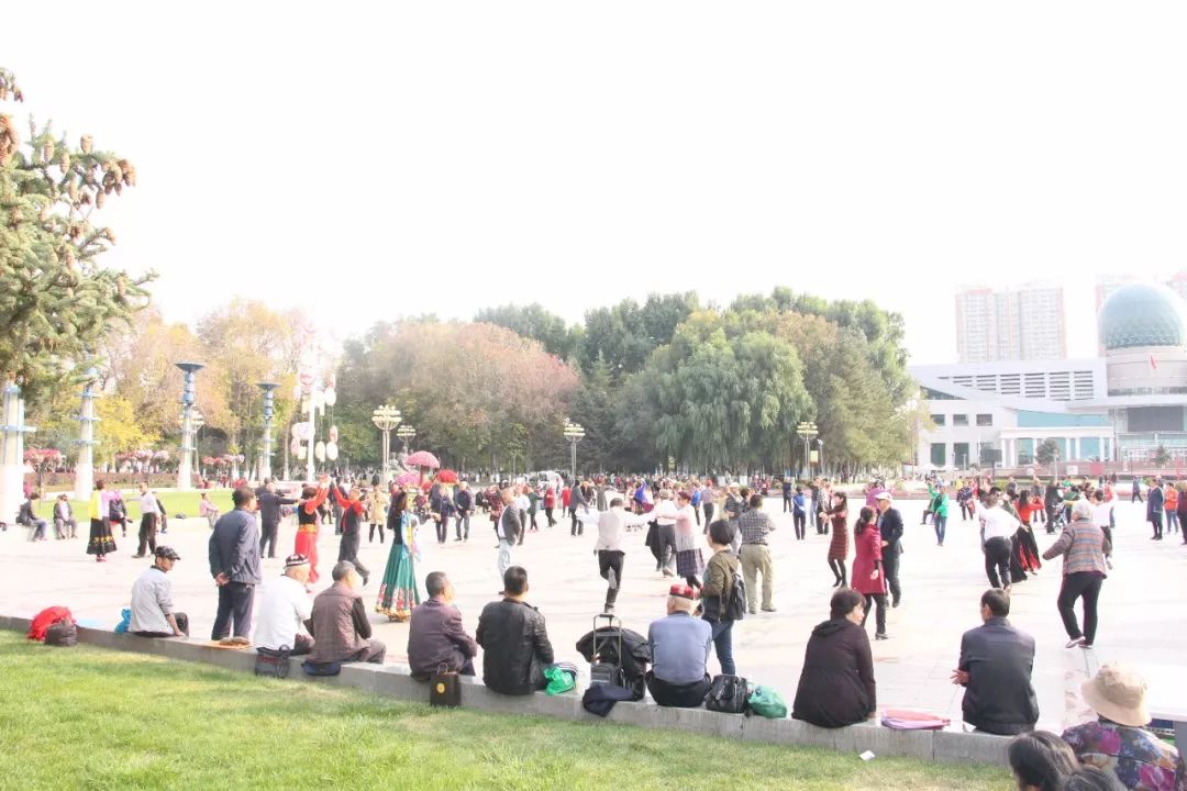 石河子最新发展消息,石河子疫情爆发期