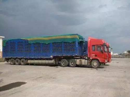 石河子最新发展消息,石河子疫情爆发期