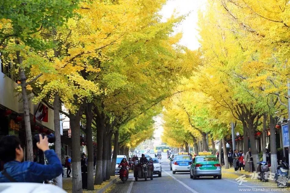 2020中国美丽休闲乡村公示名单,农业农村部中国美丽休闲乡村