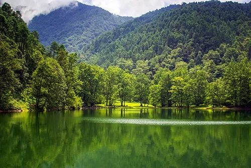 分享家乡美食特产诉说人文历史,分享家乡独特味道