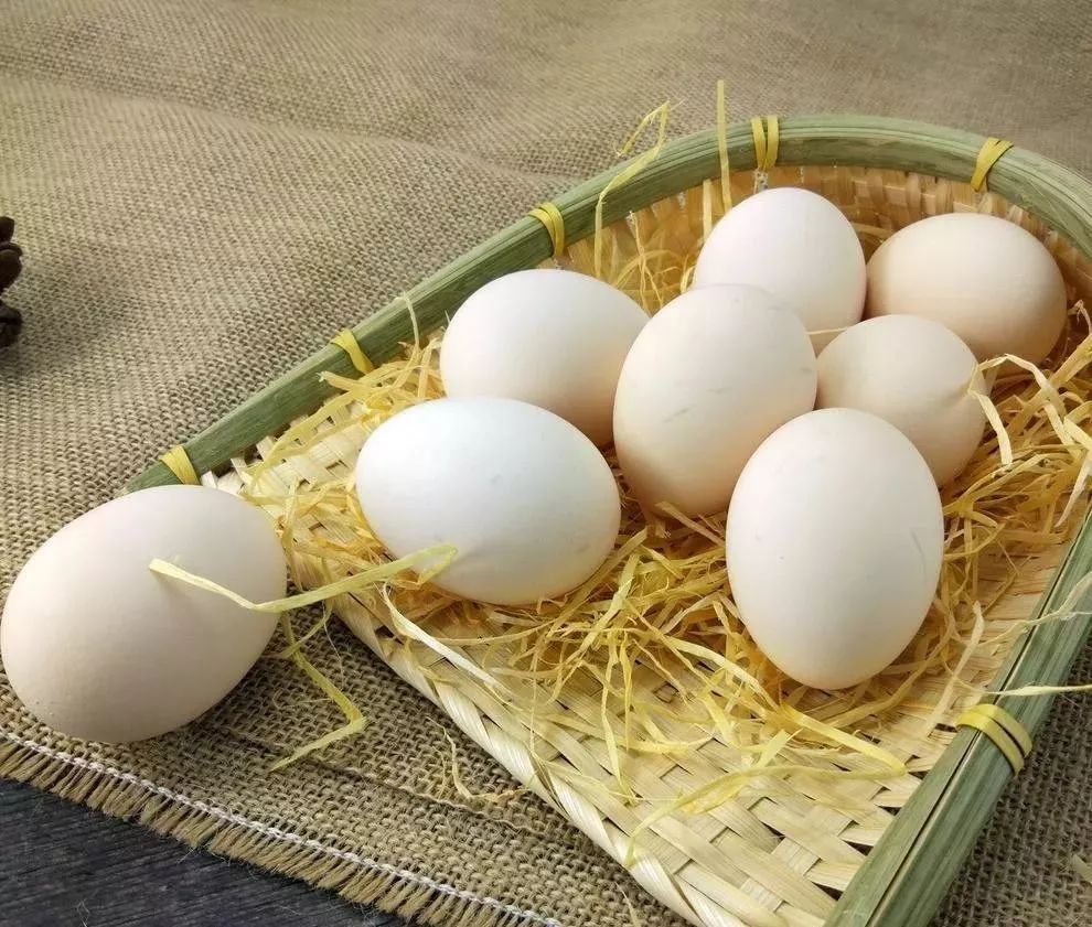 酵素能抗癌防癌吗,真的没有食物能治愈癌症吗