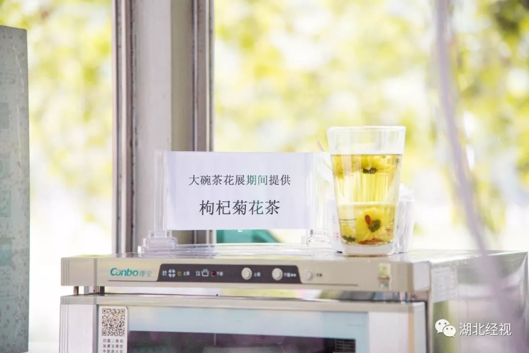 武汉周边最美秋天,武汉秋景最好的地方