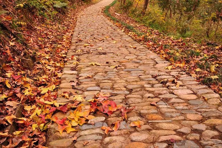 爱爬山的人都爬什么山,爱爬山的山里人完整版