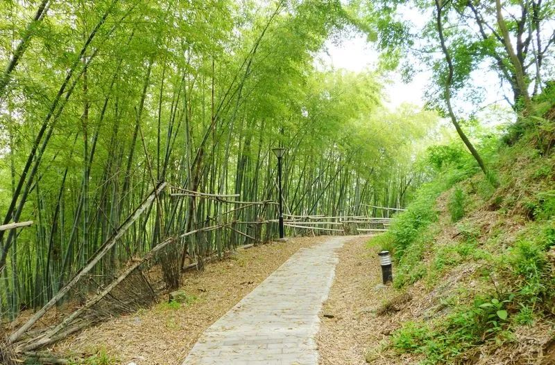 爱爬山的人都爬什么山,爱爬山的山里人完整版