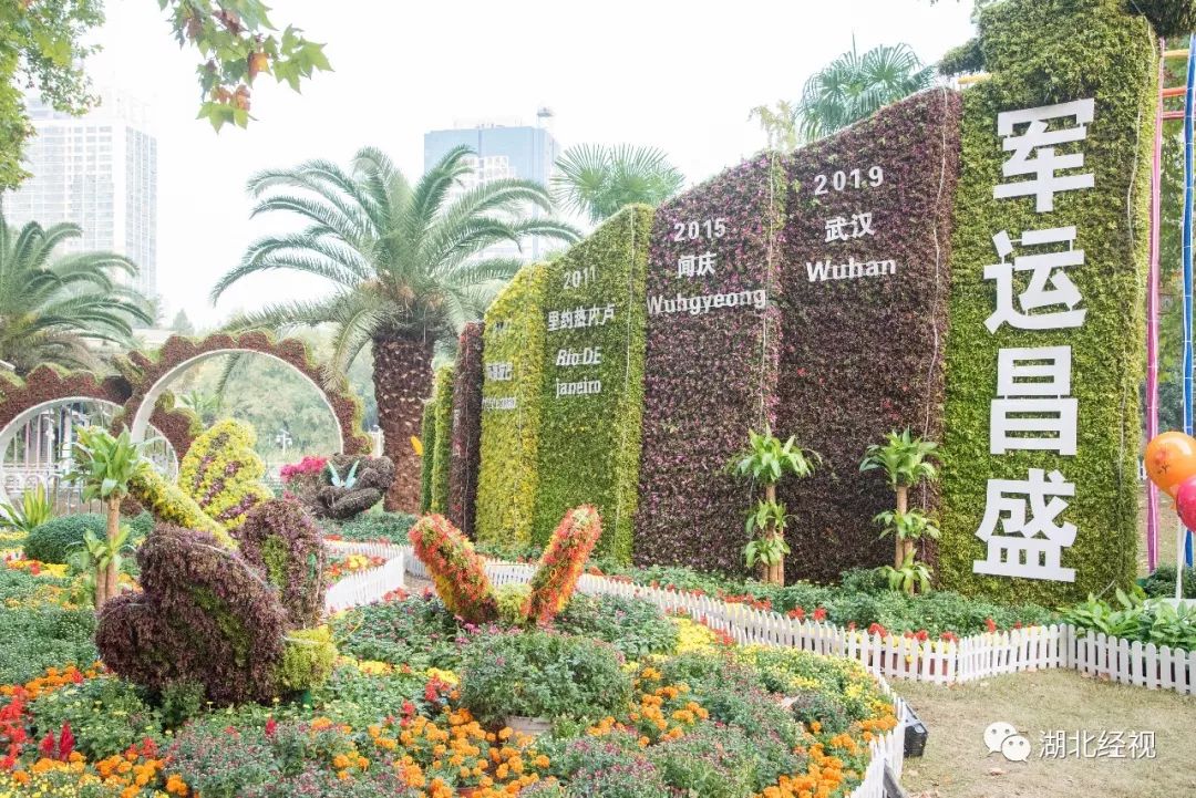 武汉周边最美秋天,武汉秋景最好的地方