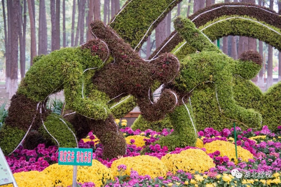 武汉周边最美秋天,武汉秋景最好的地方