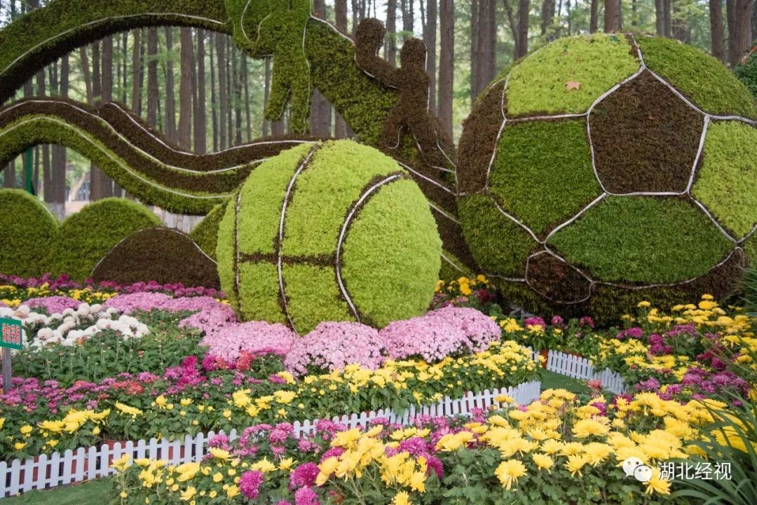 武汉周边最美秋天,武汉秋景最好的地方