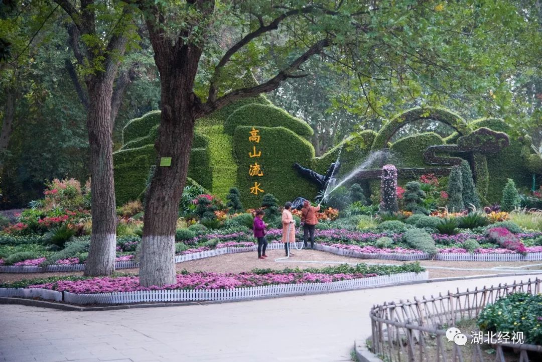 武汉周边最美秋天,武汉秋景最好的地方