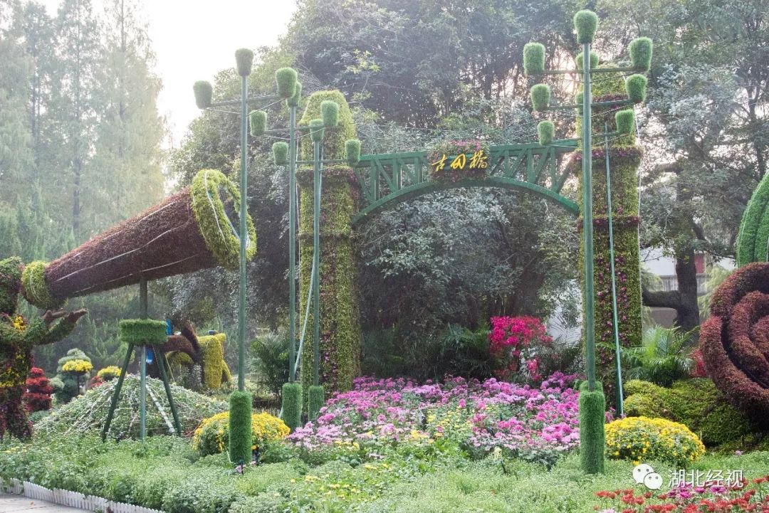 武汉周边最美秋天,武汉秋景最好的地方