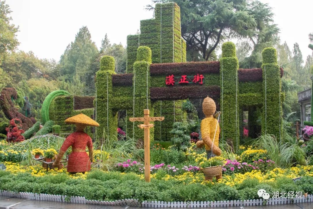 武汉周边最美秋天,武汉秋景最好的地方