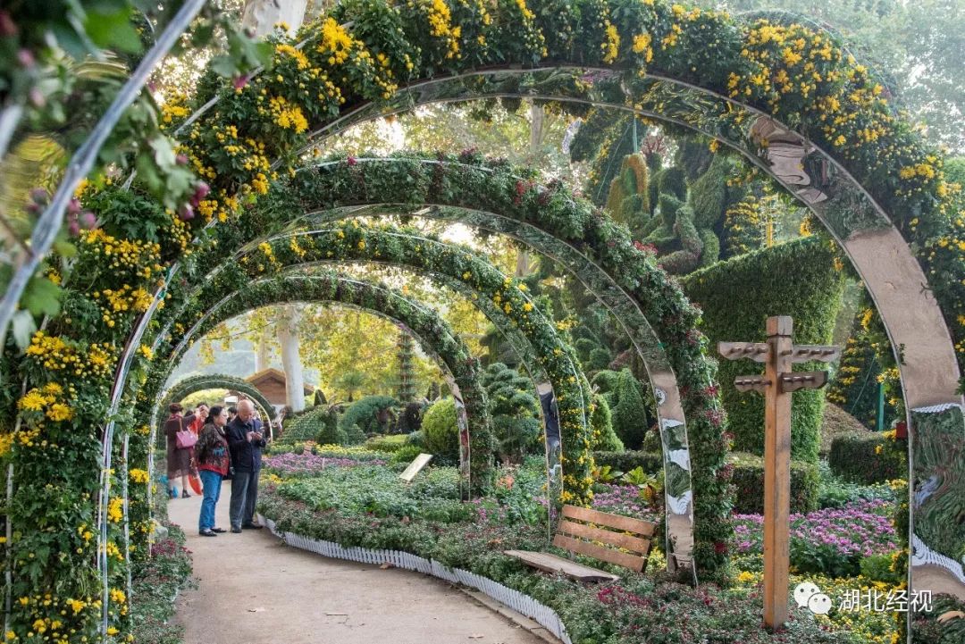 武汉周边最美秋天,武汉秋景最好的地方