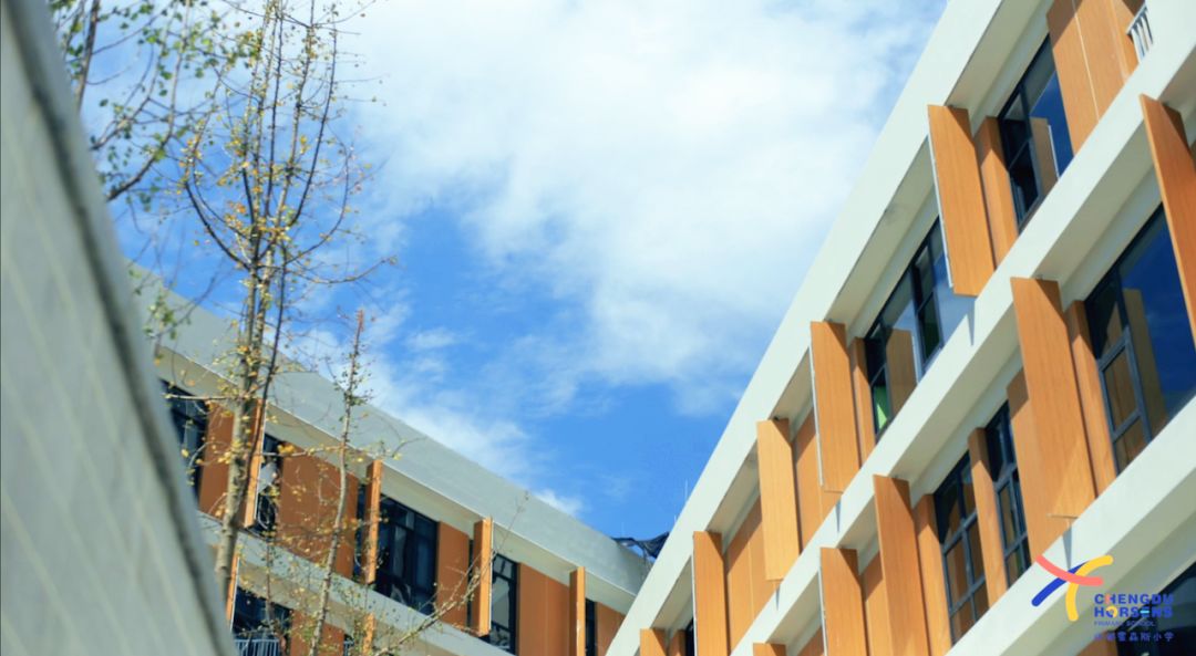 成都最美小学,成都十大最美小学