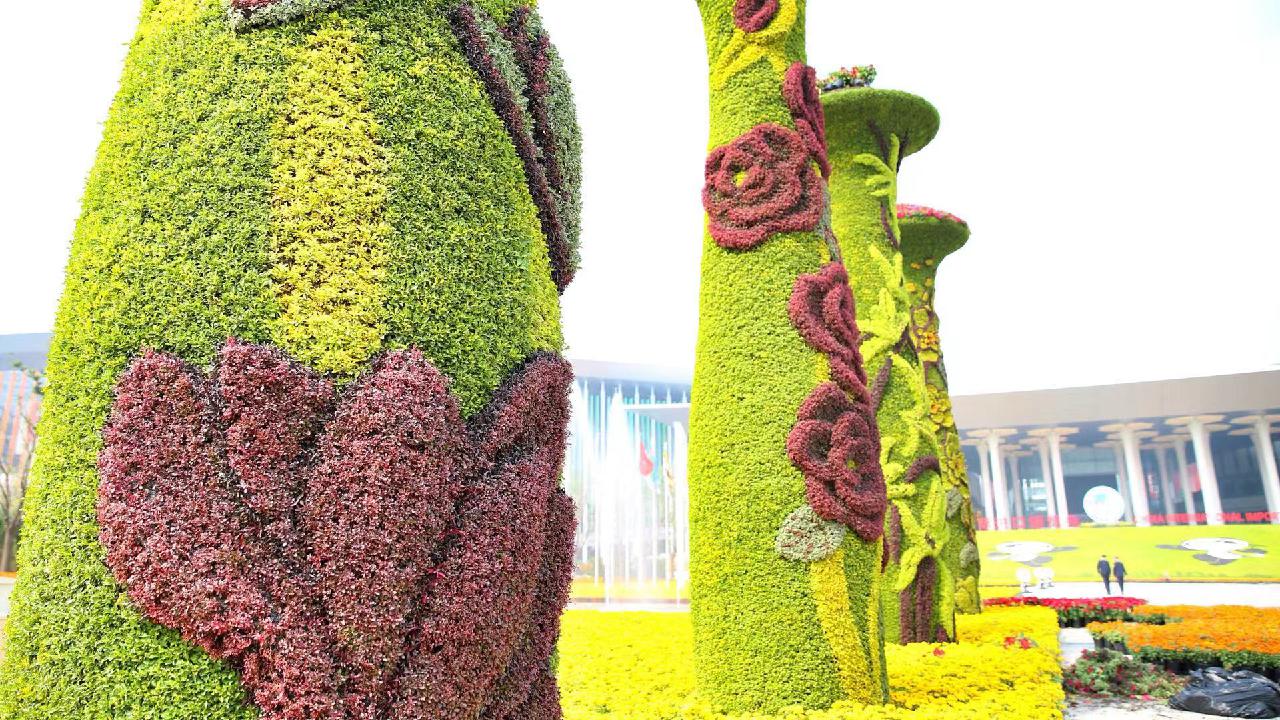 60万株大花百日草、800块七彩格栅板、近万盏LED灯……“四叶草”盛装喜迎八方宾客