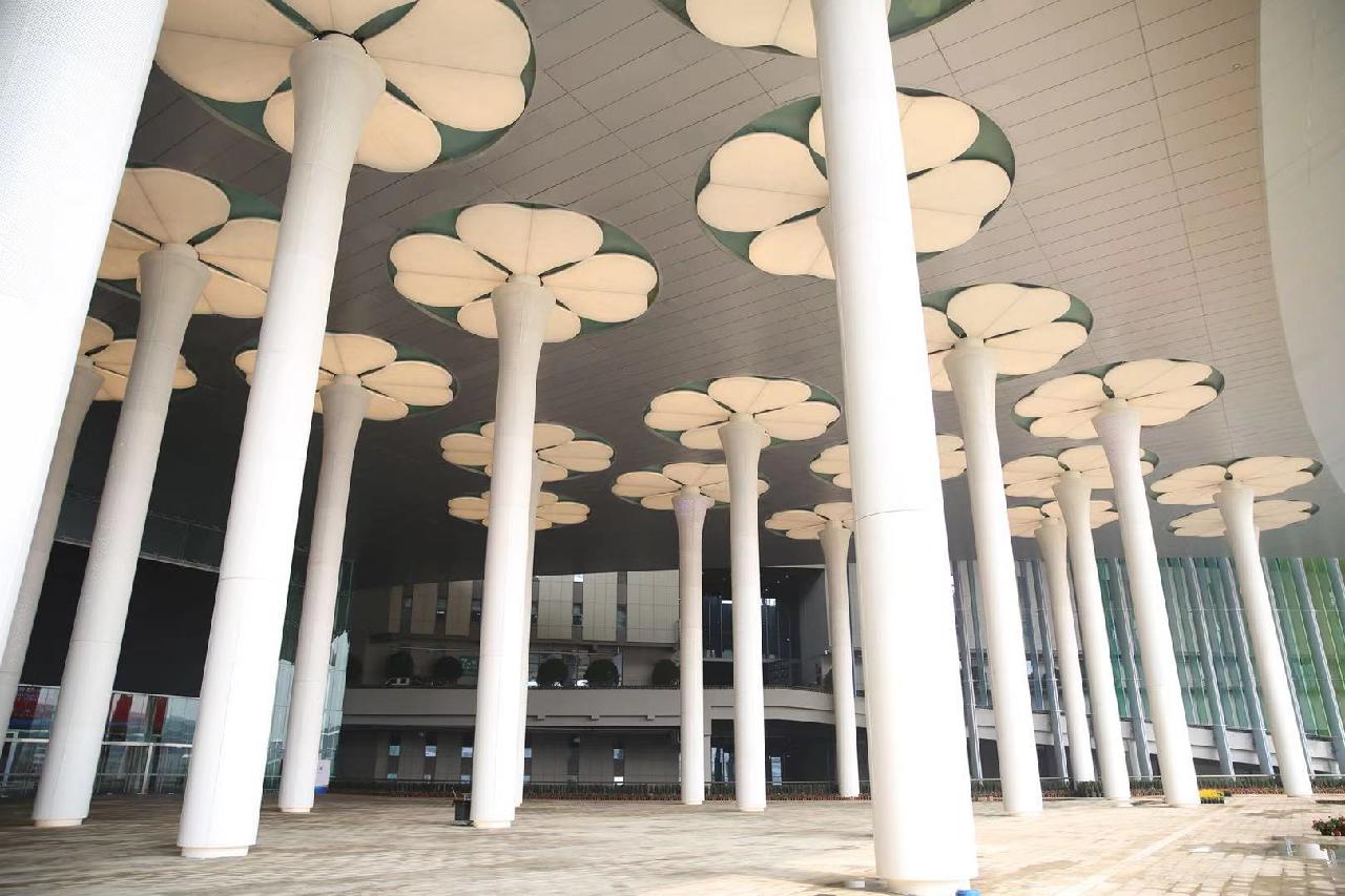 60万株大花百日草、800块七彩格栅板、近万盏LED灯……“四叶草”盛装喜迎八方宾客